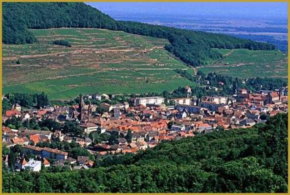 Appartement Avec Terrasse Entre Vignes, Balades, Alsace Guebwiller Exterior foto